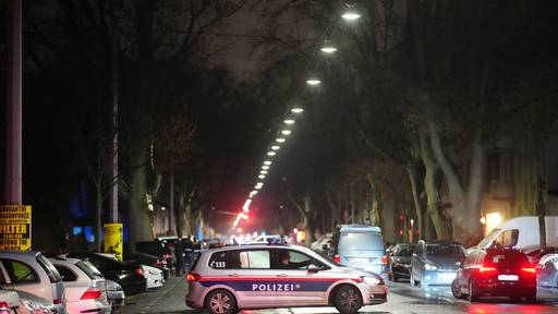 Drei getötete Frauen in Wiener Bordell entdeckt – 27-Jähriger verhaftet