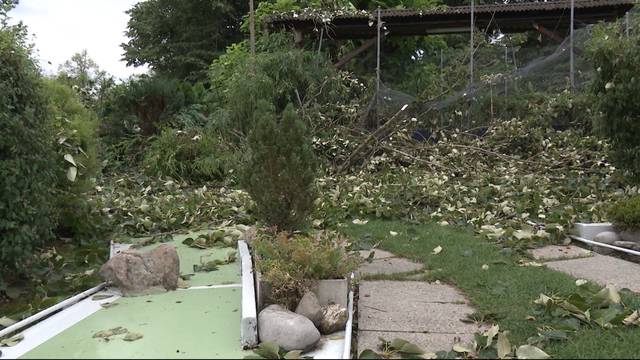 Drei Kinder wegen Unwetter verletzt