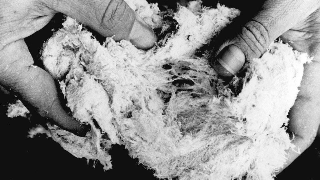 Asbestfasern lösten bei Berufstätigen Krankheiten aus, die oft tödlich enden. Da die Patienten oft schon kurz nach dem Ausbruch der Krankheit sterben, will der Bund die Auszahlung von Entschädigungen beschleunigen (Symbolbild).