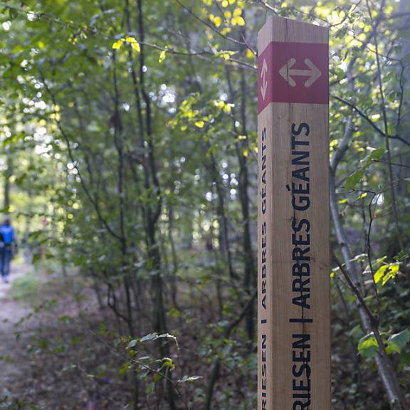 Biel eröffnet Bestattungswald beim Friedhof Madretsch