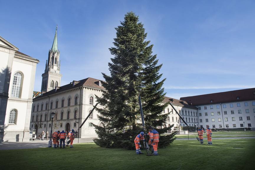 Der Christbaum 2015 wurde von Rotmonten her angeflogen. (Bild: Tagblatt, Ralph Ribi)