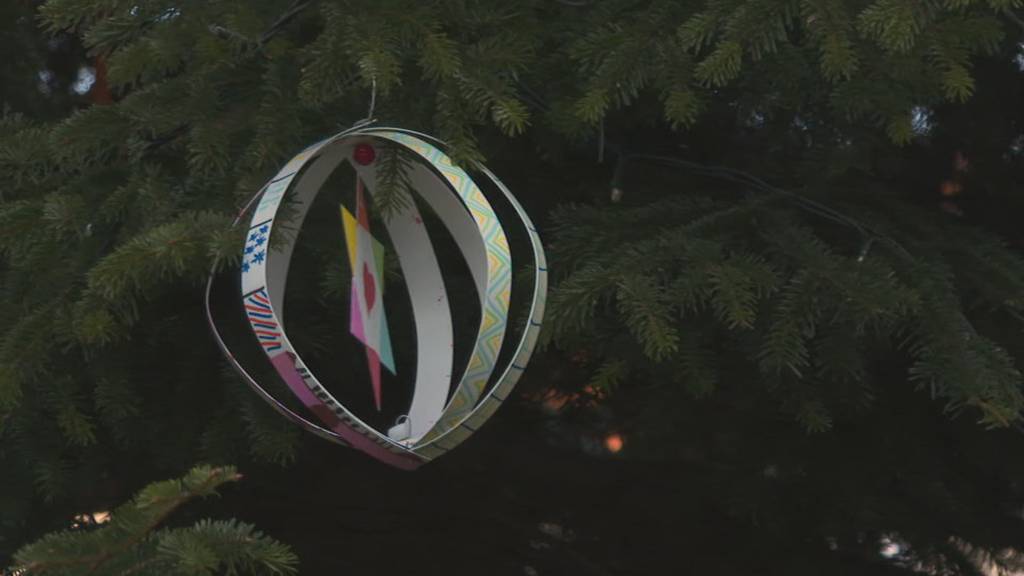 Weihnachtssong-Premiere für Grabser Künstlerin