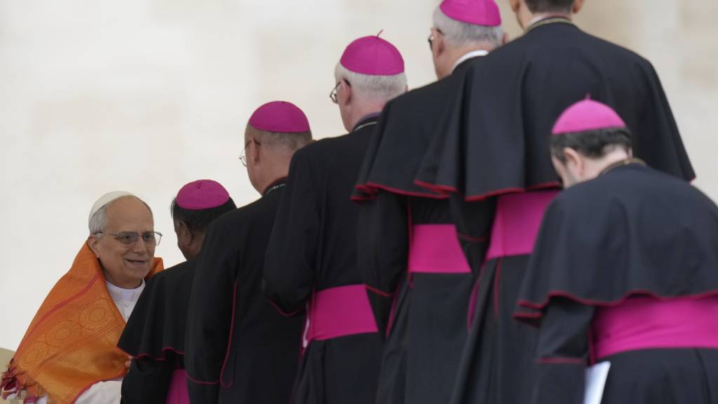 ARCHIV - Papst Leo XIV. trifft sich mit Bischöfen. Foto: Gregorio Borgia/AP/dpa