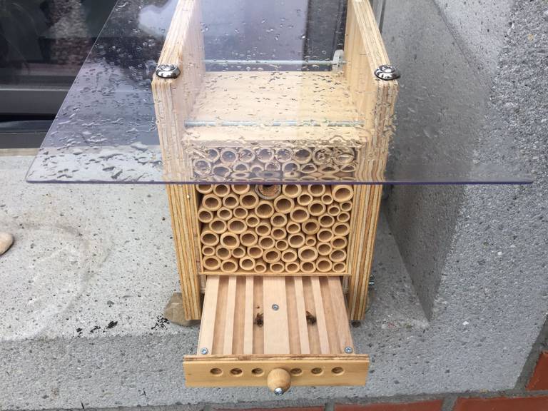 Kaltes Wetter = schlafen