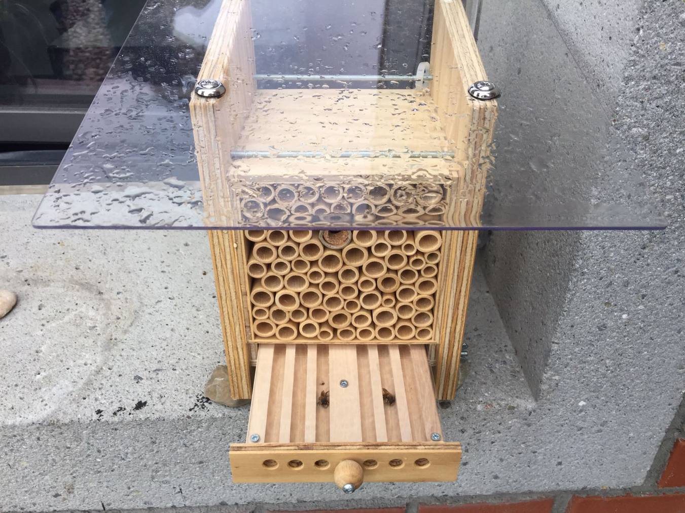 Kaltes Wetter = schlafen