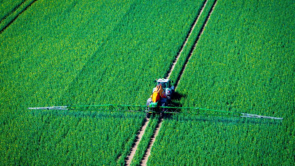 Die meisten Pflanzenschutzmittel wurden auf landwirtschaftlichen Feldern gefunden. Doch auch dort, wo normalerweise keine Pestizide eingesetzt werden, konnten Rückstände im Boden festgestellt werden. (Archivbild)