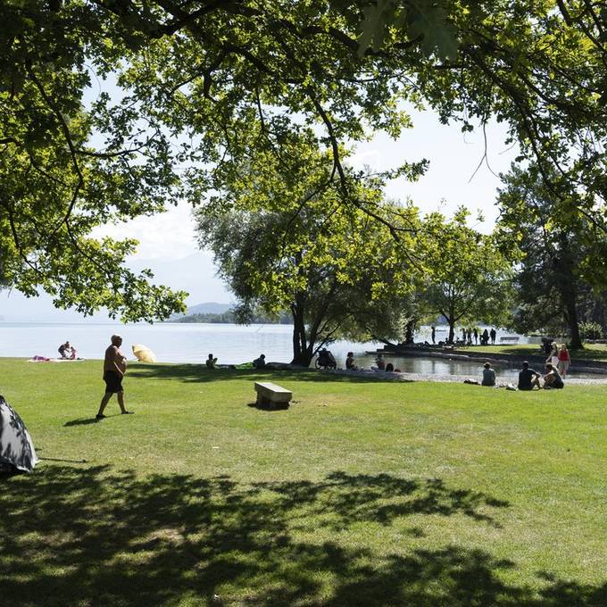 Das sind die schönsten Badewiesen am Thunersee