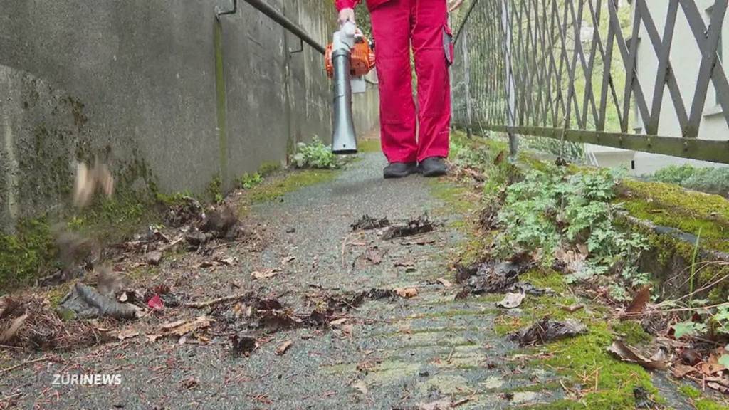 Nach 20 Jahren Diskussionen: Abstimmung über Laubbläser in Zürich