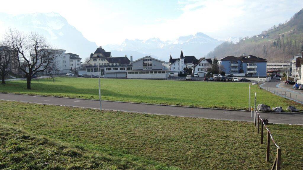 Blick auf die Parzelle im Gebiet Seewen Feld.