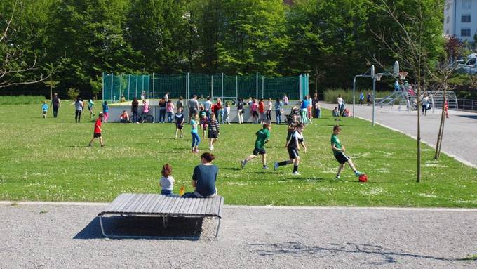 Ebikon fehlt Geld für Schmiedhofpark