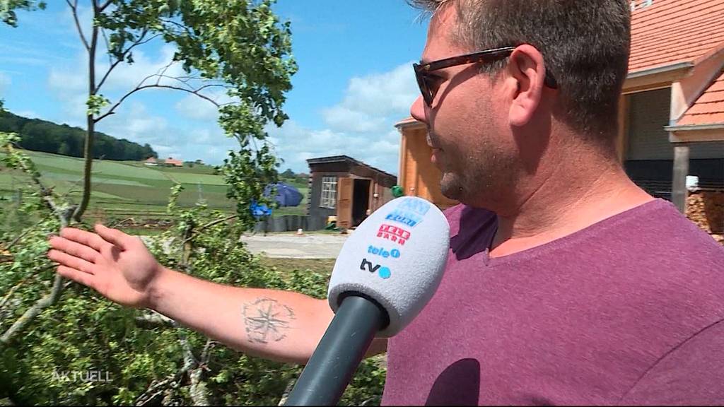 Mann in Lüterswil von umstürzendem Baum getroffen