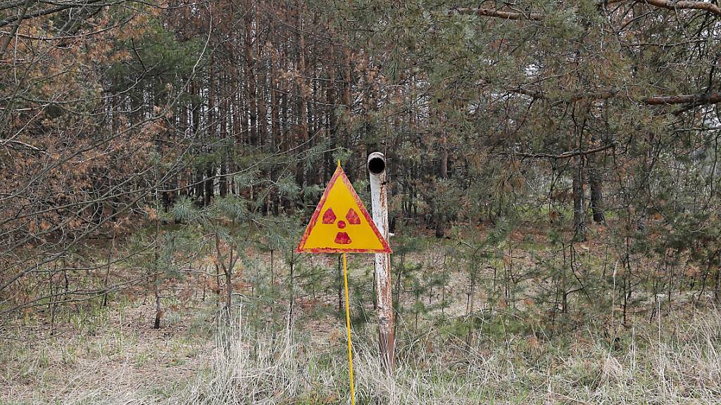 Ein Wald mit einem Warnschild ausserhalb von Tschernobyl. (Archivbild)
