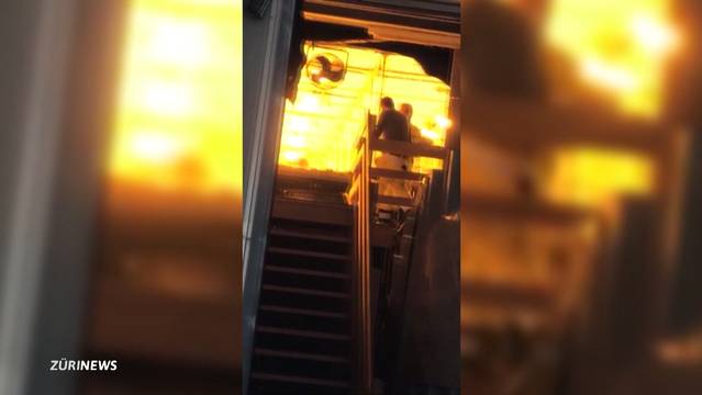 Polizei hebt Indoor-Hanfanlagen aus