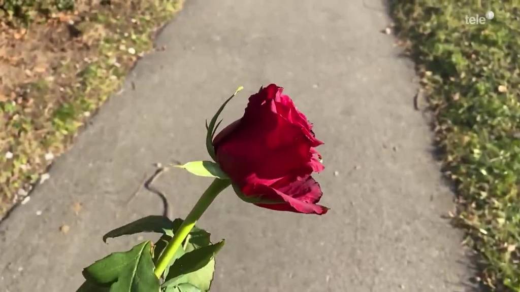 Report zum Valentinstag