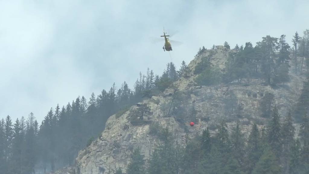Ostschweizer Feuerwehren bereiten sich auf Waldbrände vor