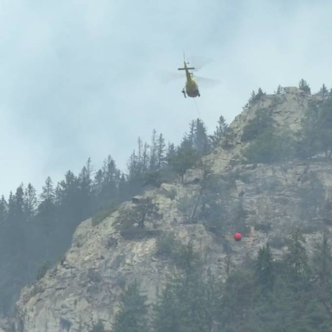 So bereiten sich Ostschweizer Feuerwehren auf Waldbrände vor