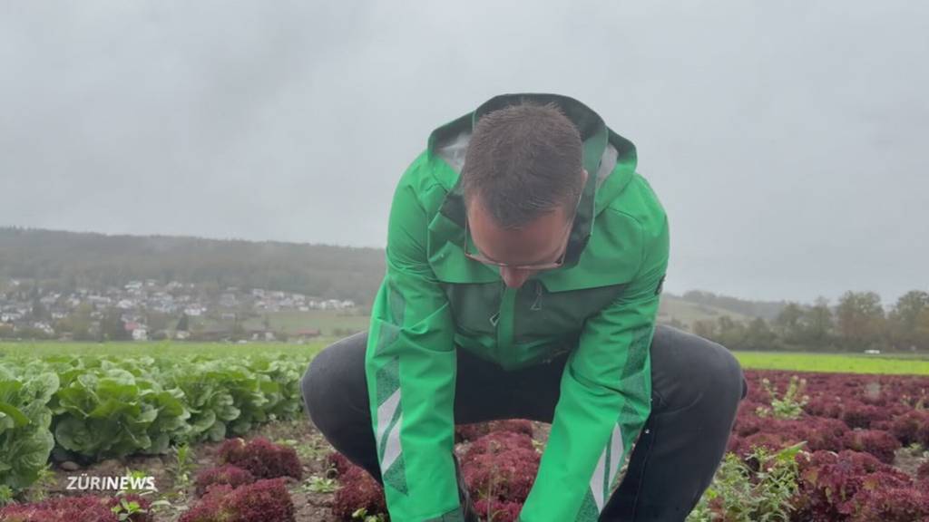 Nach Rekordsommer: Ein Bisschen Regen bringt nichts