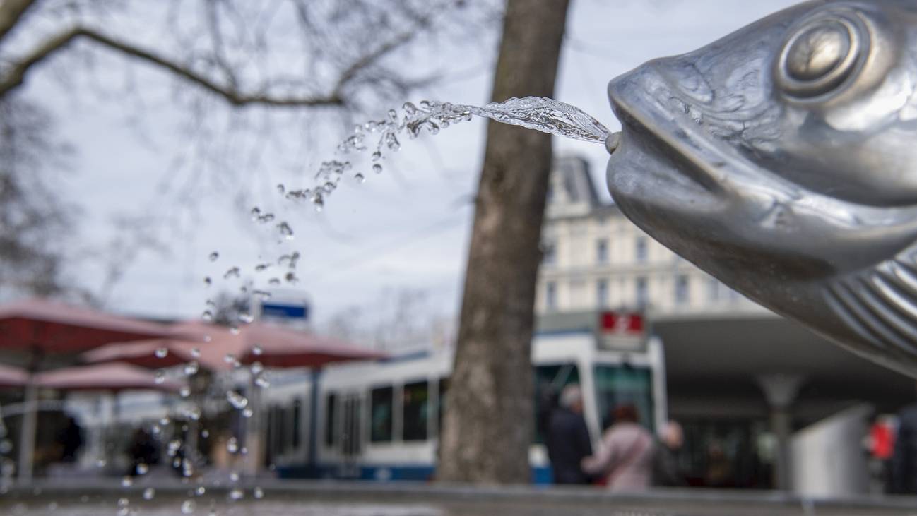Brunnen Zürich Trinkwasser