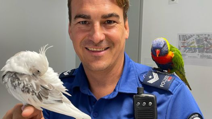 Bei der Stadtpolizei St.Gallen wurden zwei Kanarienvögel abgegeben.