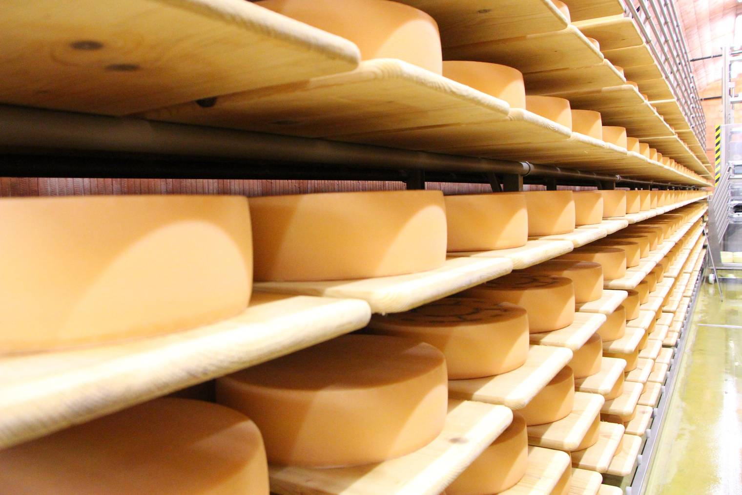 Die Lagerung gibt dem Käse den Geschmack. © FM1Today/Lara Abderhalden
