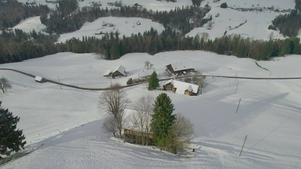 Zivilschutz gibt Bauer an umstrittener Übung in Eschenbach Schuld