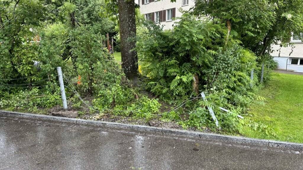 Der Autofahrer wollte in St. Gallen von einem Parkfeld wegfahren und kollidierte mit einem Zaun.