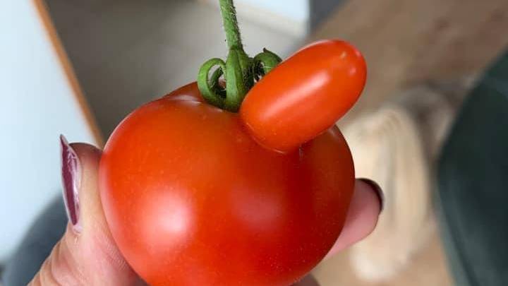 Wächst in deinem Garten auch so lustiges Gemüse?