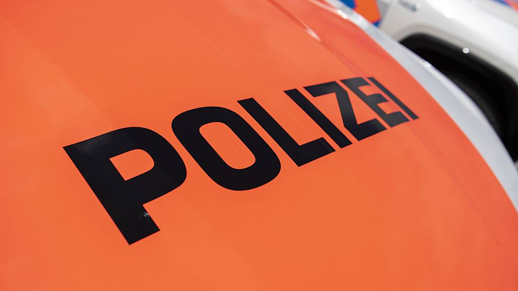 Zürcher Polizei will Bilder von Oster-Schlägern veröffentlichen