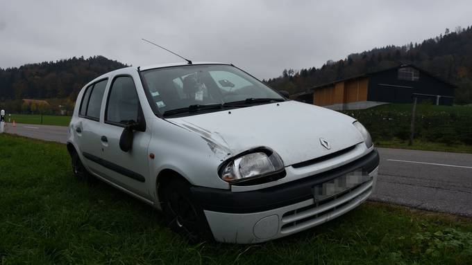 Auto kollidiert mit Pferd