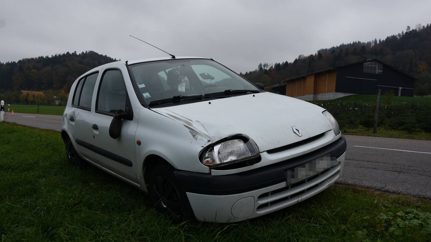 Bei einem Überholmanöver streifte ein Autofahrer ein Pferd.