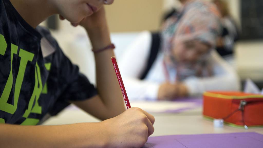 Schule Schüler Abstimmungen Schulfusion Aarau Buchs