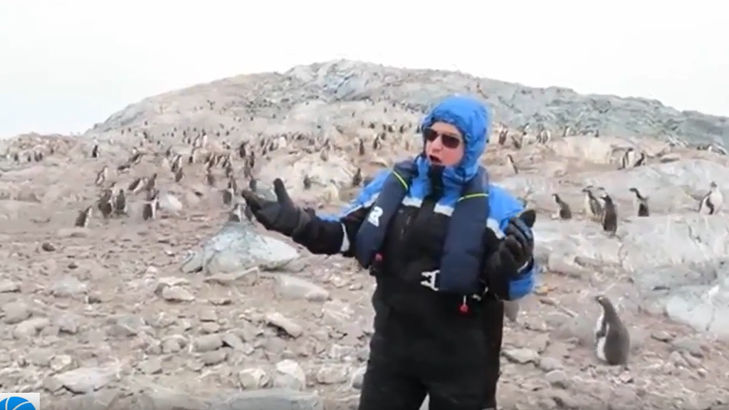 Der Opernsänger und die Pinguine