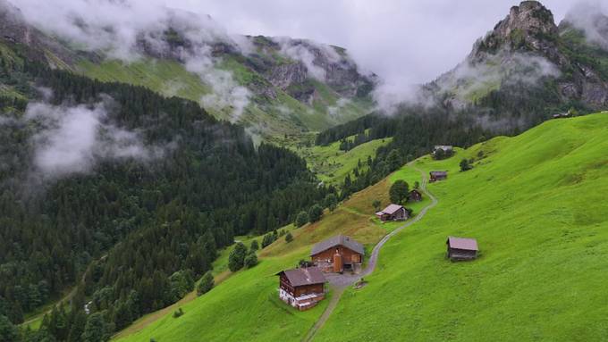 Freiwillige leisten Hilfe bei Bergbauernfamilien