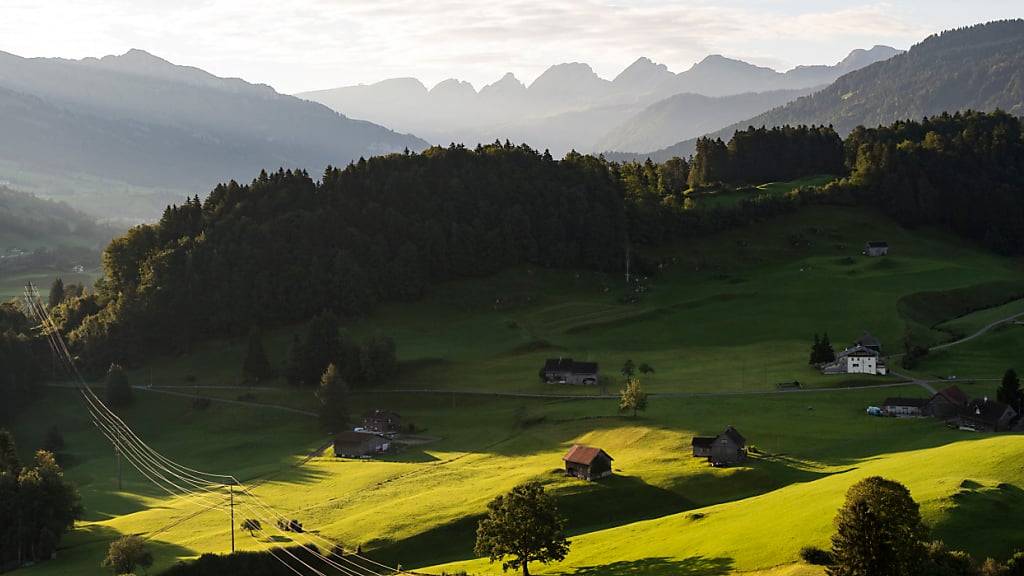 Kanton St. Gallen weitet Waldreservate aus