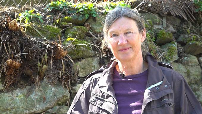 Natürliche Gartenhelfer: Laufenten gegen Schädlinge