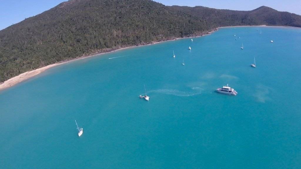 Im Gebiet um die Whitsunday-Inseln vor Australiens Ostküste wurden gleich zwei Frauen Opfer von Haiangriffen.