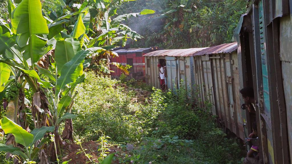 Reisewelten - Madagaskars grossartiger Dschungelzug