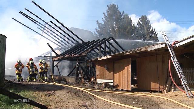 Wie gefährlich ist der Job der Feuerwehrleute?