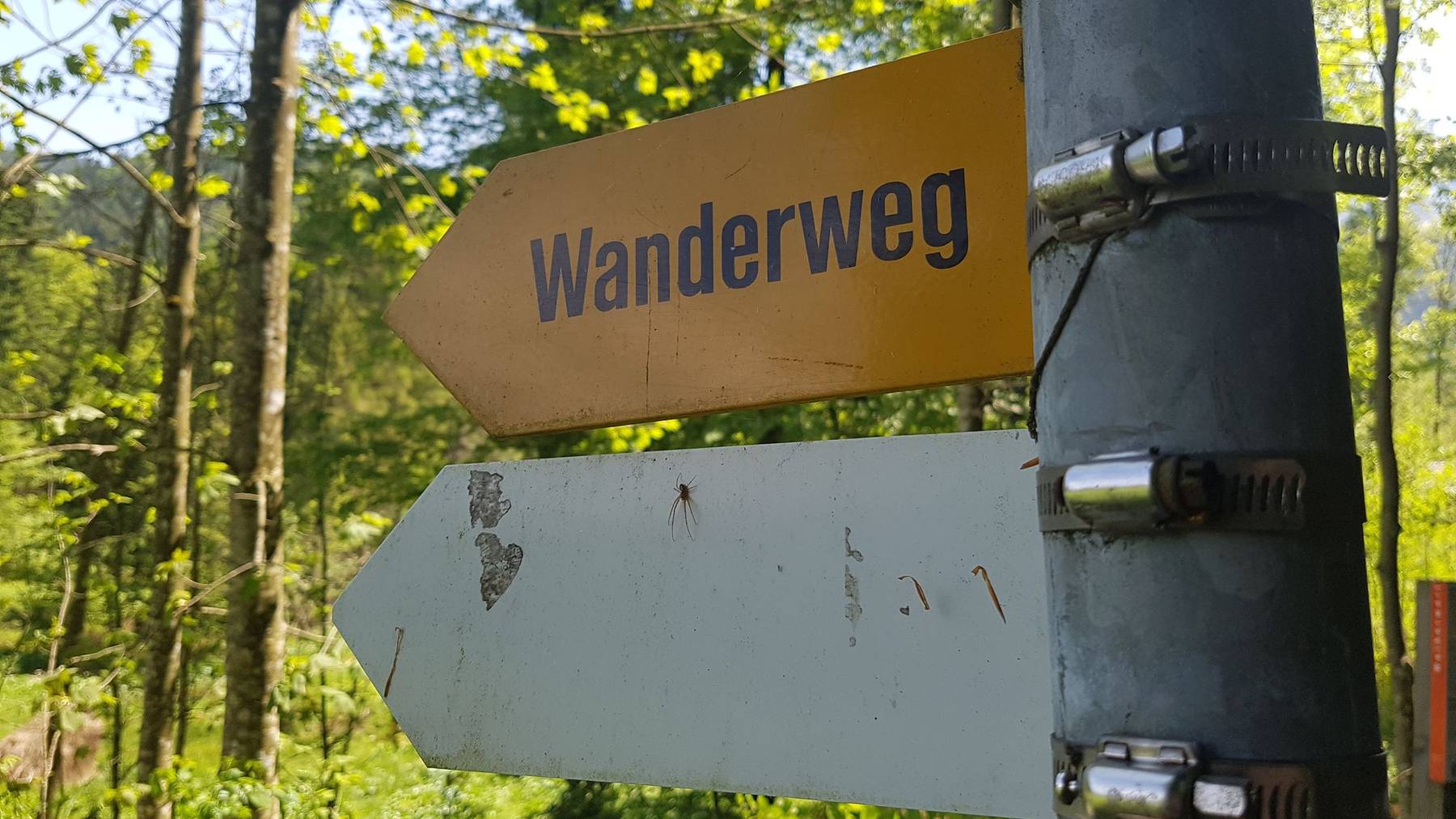 Wanderer in Engelberg tödlich verünglückt