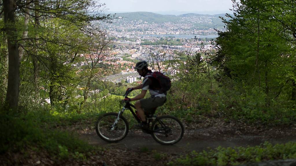 Um das Velofahren im Wald in geordnete Bahnen zu lenken, sind in den Aargauer Gemeinden Gränichen, Hirschthal, Muhen, Oberentfelden, Schafisheim, Suhr und Unterkulm neue Mountainbike-Trails eingerichtet worden. (Symbolbild)