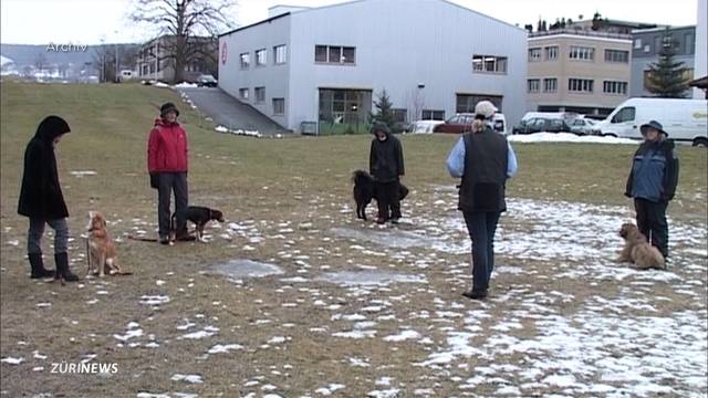 Hundekurse bleiben weiterhin obligatorisch