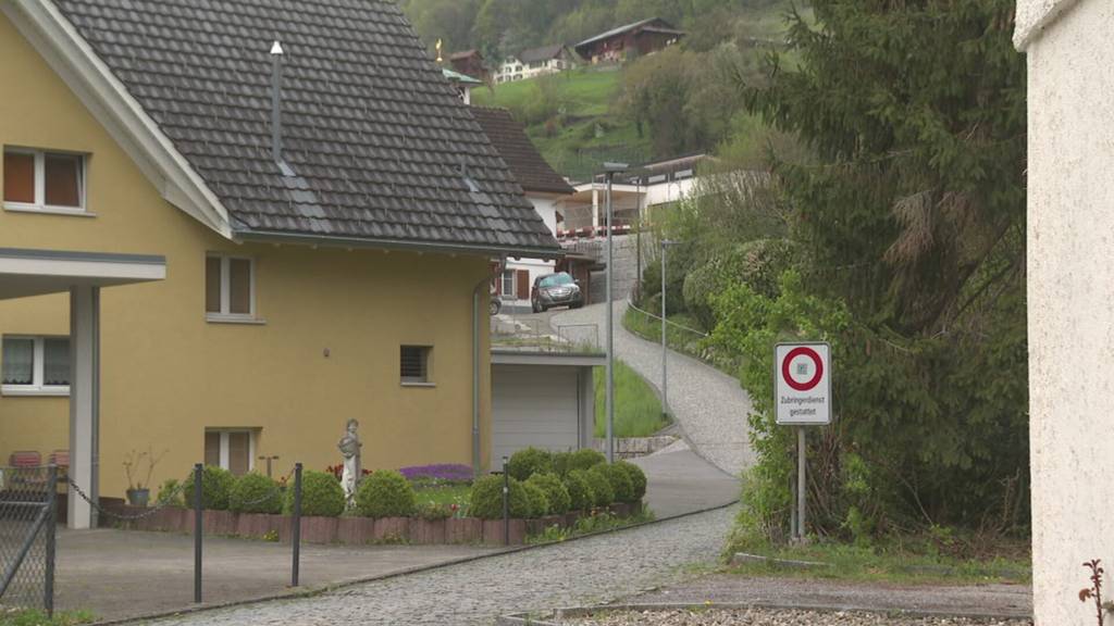 Nach Gewaltdelikt in Au: SVP-Kantonsräte fordern schärfere Grenzkontrollen