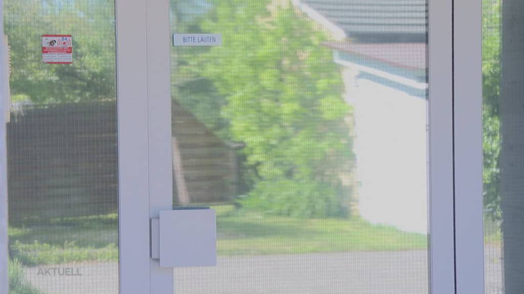 Gaunermasche? Solothurner Kantonsrat erhält 49 Staubsauger