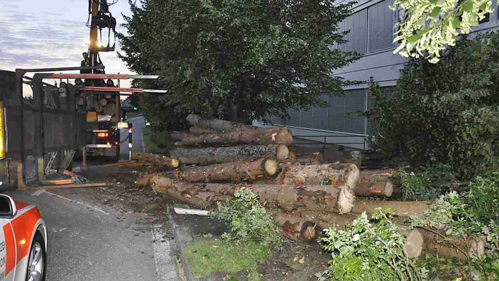 Holzstämme mit einem Gewicht von 15 Tonnen landeten in Oensingen SO auf der Strasse und in einem Vorgarten.