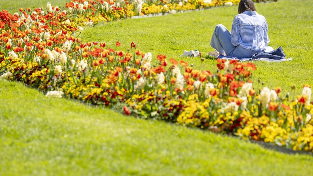 Der April brachte kaum Regen, dafür umso mehr Sonnenschein mit sich. (Archivbild)