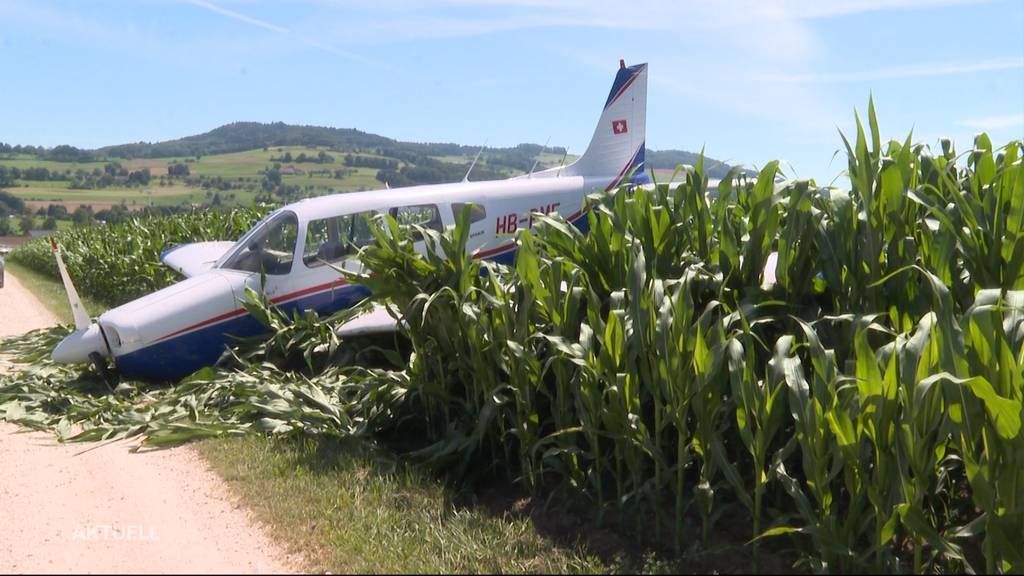 Notlandung in Reitnau: Kleinflugzeug stürzt in Maisfeld