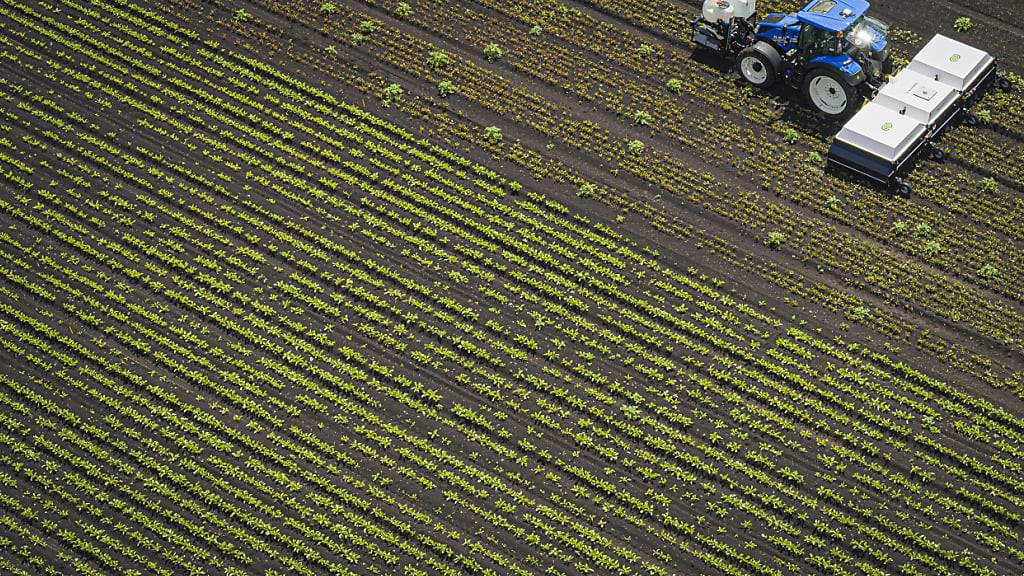 Grössere Pflanzenvielfalt in der Landwirtschaft verstärkt die Kohlenstoffspeicherung im Boden.