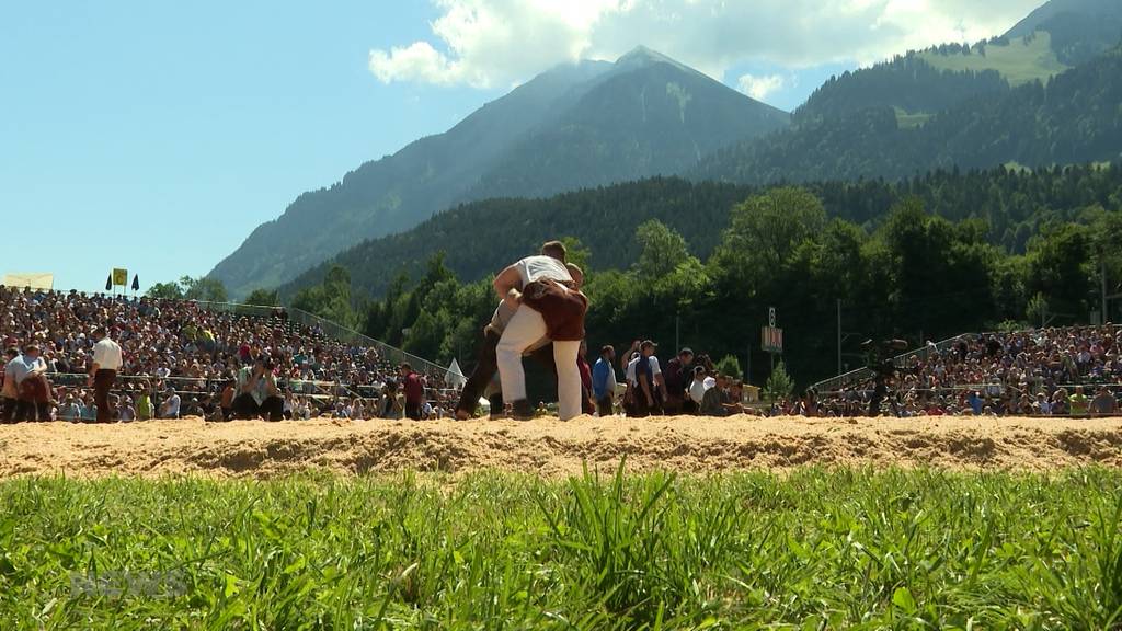 Oberländisches Schwingfest: Das letzte Schwingfest, bevor das Bernische Kantonalschwingfest stattfindet