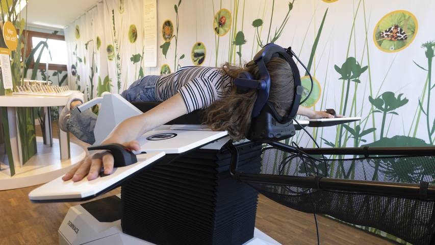 Erlebe den einzigartigen Zugvogel-Simulator im Neeracherried