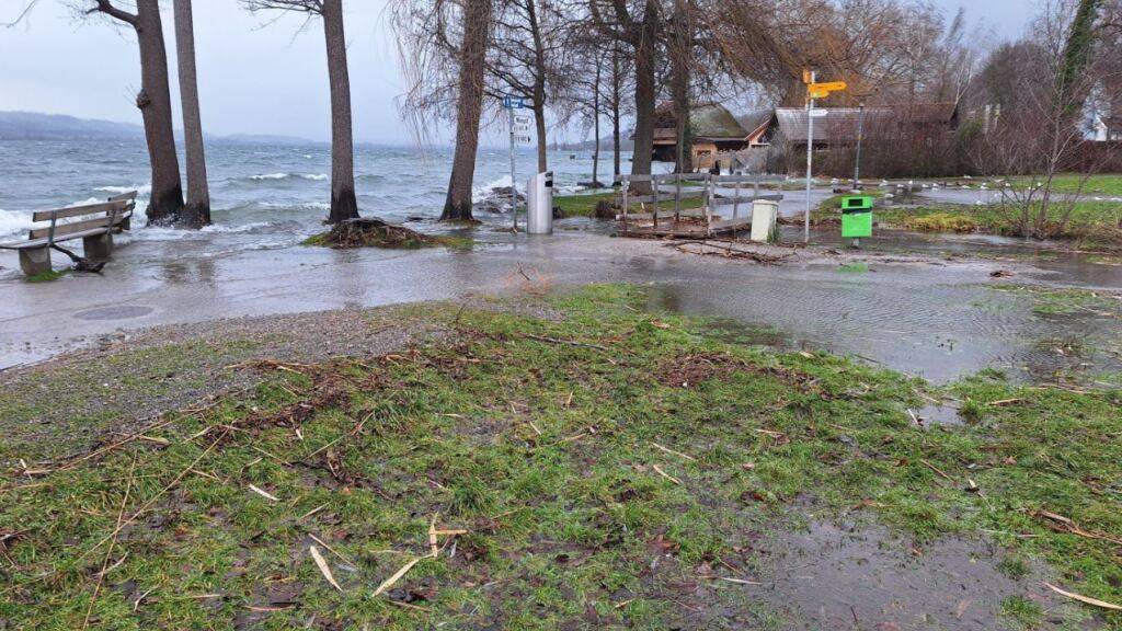Der Wintersturm hat am Seeuferweg in Sempach deutliche Spuren hinterlassen.